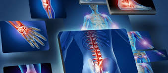 Μυοσκελετικό Σύστημα